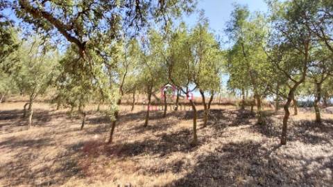 Quinta c/ Casa T2,  em Melides