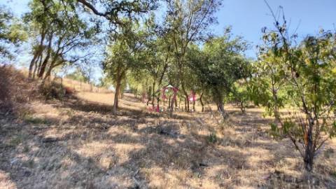 Quinta c/ Casa T2,  em Melides