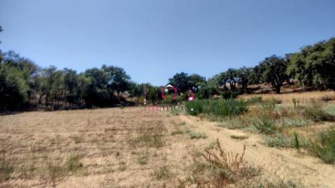 Quinta c/ Casa T2,  em Melides