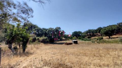 Quinta c/ Casa T2,  em Melides