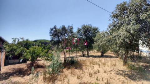 Quinta c/ Casa T2,  em Melides