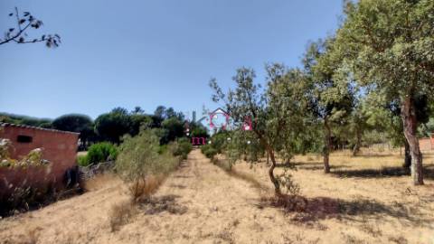 Quinta c/ Casa T2,  em Melides