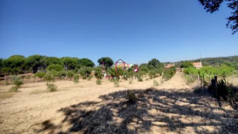 Quinta c/ Casa T2,  em Melides