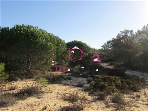 Terreno rústico com 42025m² em Santo André