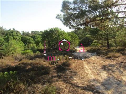 Terreno rústico com 42025m² em Santo André