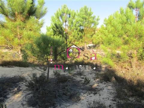 Terreno rústico com 42025m² em Santo André