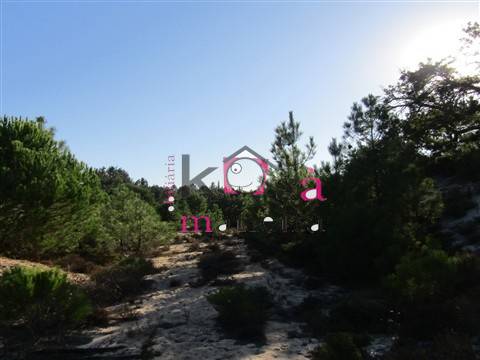 Terreno rústico com 42025m² em Santo André