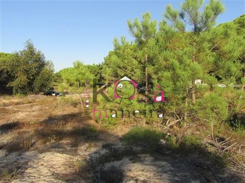 Terreno rústico com 42025m² em Santo André