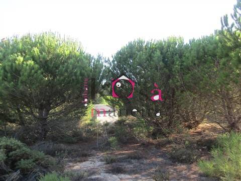 Terreno rústico com 42025m² em Santo André