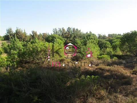 Terreno rústico com 42025m² em Santo André