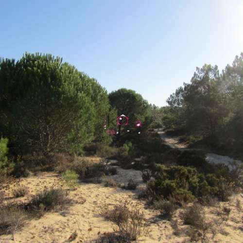 Terreno rústico à venda em  Vila Nova de Santo André.