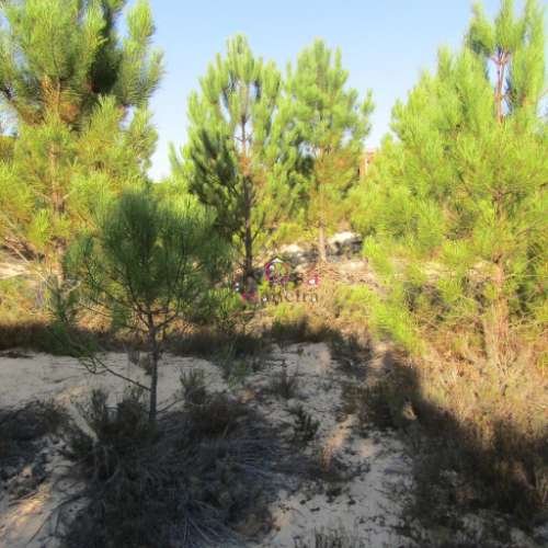Terreno rústico à venda em  Vila Nova de Santo André.