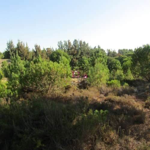 Terreno rústico à venda em  Vila Nova de Santo André.