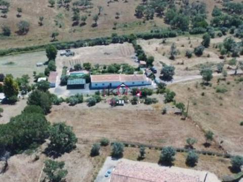 Quinta Vale Seco " Figueirinha" terreno 5750m2