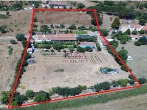 Quinta Vale Seco " Figueirinha" terreno 5750m2