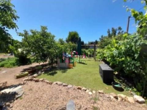 Quinta Vale Seco " Figueirinha" terreno 5750m2