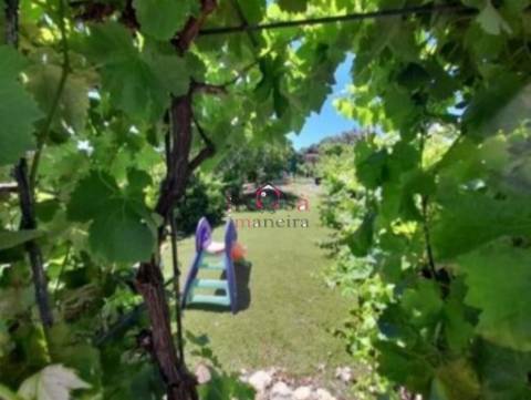 Quinta Vale Seco " Figueirinha" terreno 5750m2