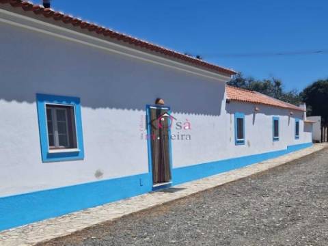 Quinta Vale Seco " Figueirinha" terreno 5750m2