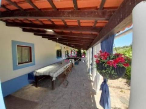 Quinta Vale Seco " Figueirinha" terreno 5750m2