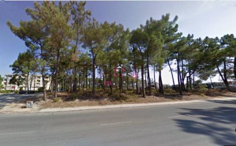 Lote para construção, inserido na Urbanização Pinhal de Negreiros,