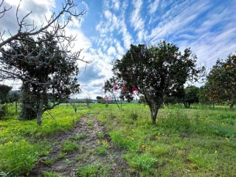 Monte Alentejano com uma moradia + Anexo, Cabeça Da Cabra, Perto de Porto Covo, com  terreno 6770m2 