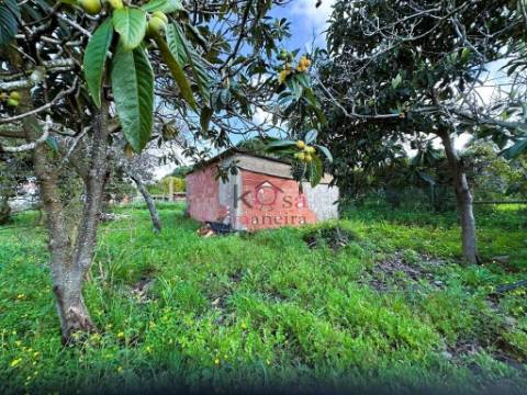 Monte Alentejano com uma moradia + Anexo, Cabeça Da Cabra, Perto de Porto Covo, com  terreno 6770m2 
