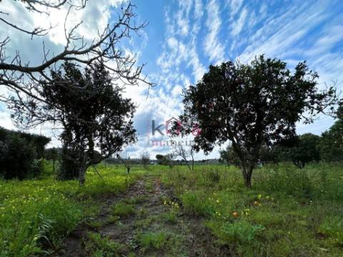 Monte Alentejano com uma moradia + Anexo, Cabeça Da Cabra, Perto de Porto Covo, com  terreno 6770m2 