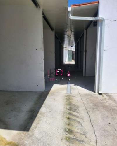 Moradia V5 de 2 Pisos, em Santarem - Golegâ , logradouro com 10 boxes para cavalos