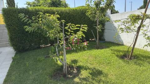 Moradia Isolada T3 com terreno 629m², Vila Nova Santo André.