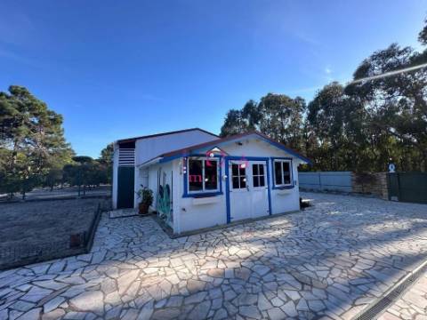 Moradia V2, em Lagoa De Melides com terreno de 1.600m².