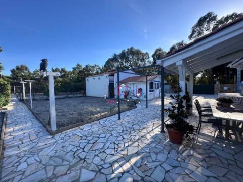 Moradia V2, em Lagoa De Melides com terreno de 1.600m².