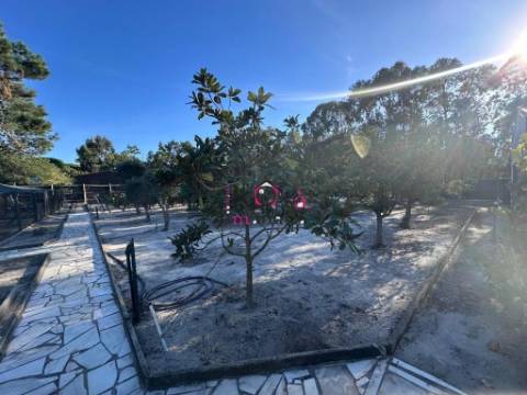 Moradia V2, em Lagoa De Melides com terreno de 1.600m².