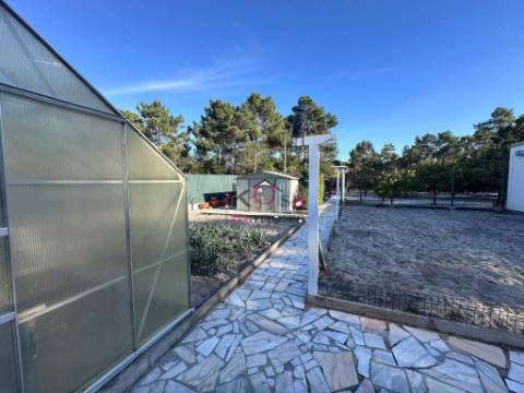 Moradia V2, em Lagoa De Melides com terreno de 1.600m².