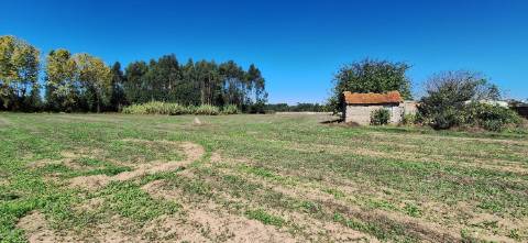 Terreno Rústico