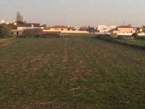 Terreno para Construção de Moradia