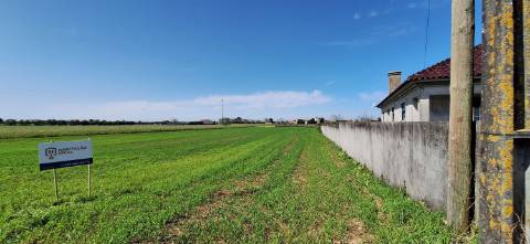 Terreno Rústico