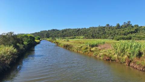 Terreno para Construção