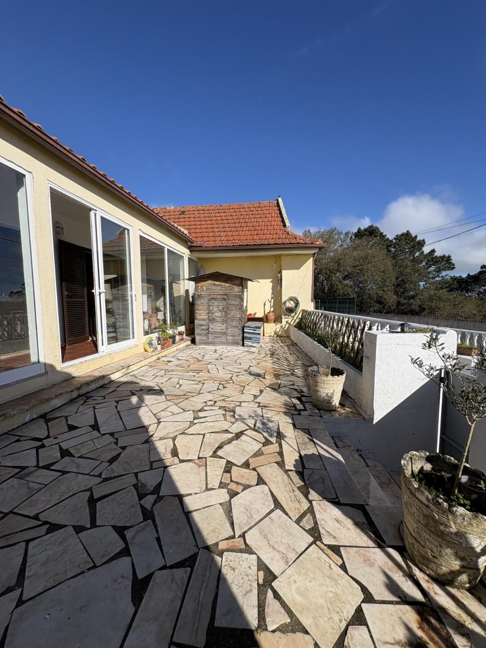 Quintinha em Mafra com 5.375m² | Moradia T2 + Potencial de Construção | EXCLUSIVO MR PORTUGAL