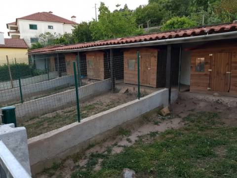 Quintinha em Mafra com 5.375m² | Moradia T2 + Potencial de Construção | EXCLUSIVO MR PORTUGAL