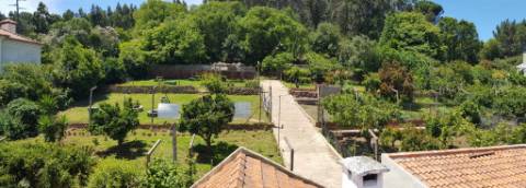 Quintinha em Mafra com 5.375m² | Moradia T2 + Potencial de Construção | EXCLUSIVO MR PORTUGAL