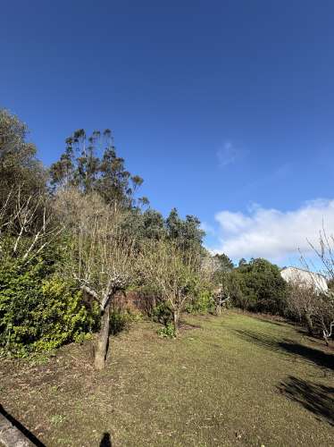 Quintinha em Mafra com 5.375m² | Moradia T2 + Potencial de Construção | EXCLUSIVO MR PORTUGAL