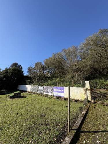 Quintinha em Mafra com 5.375m² | Moradia T2 + Potencial de Construção | EXCLUSIVO MR PORTUGAL