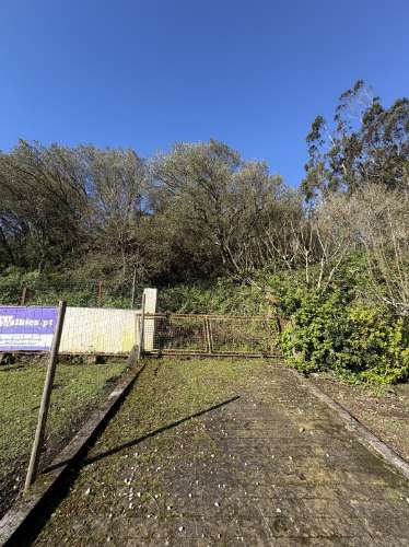 Quintinha em Mafra com 5.375m² | Moradia T2 + Potencial de Construção | EXCLUSIVO MR PORTUGAL