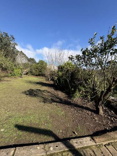 Quintinha em Mafra com 5.375m² | Moradia T2 + Potencial de Construção | EXCLUSIVO MR PORTUGAL