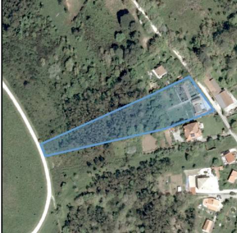 Quintinha em Mafra com 5.375m² | Moradia T2 + Potencial de Construção | EXCLUSIVO MR PORTUGAL