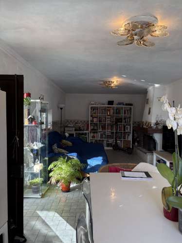 Quintinha em Mafra com 5.375m² | Moradia T2 + Potencial de Construção | EXCLUSIVO MR PORTUGAL