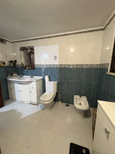 Quintinha em Mafra com 5.375m² | Moradia T2 + Potencial de Construção | EXCLUSIVO MR PORTUGAL