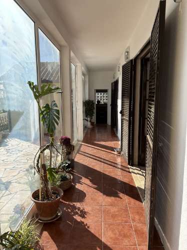 Quintinha em Mafra com 5.375m² | Moradia T2 + Potencial de Construção | EXCLUSIVO MR PORTUGAL