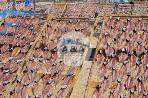 Vivenda de Luxo com Vista para o Mar na Encantadora Praia da Nazaré
