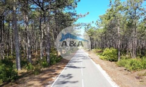 Moradia de sonho entre a Praia e a Lagoa – Natureza, Conforto e Estilo